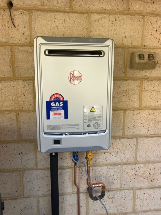 Rheem 20L Gas Continuous Flow Water Heater 876A20